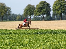 377254_10151090365608585_1125498704_n